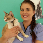 Amanda Garbowski The Cat Clinic Nurse