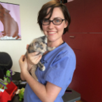 Lisa Barrett The Cat Clinic Vet Nurse