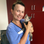 Lynda Hartley The Cat Clinic Nurse