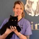 Rebecca Beynon The Cat Clinic Nurse
