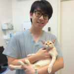 Andrew Lau The Cat Clinic Vet