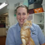 Katherine Leahy The Cat Clinic Vet Nurse