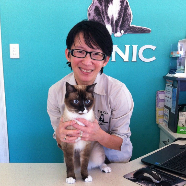 Mandy Doan The Cat Clinic Vet