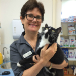 Mandy Roe The Cat Clinic Vet