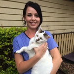 Mikayla Osborne The Cat Clinic Nurse