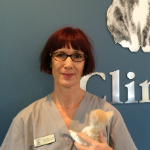 Petra Boettcher The Cat Clinic Vet