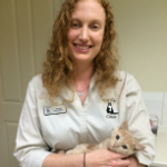 Susan Gottlieb The Cat Clinic Vet
